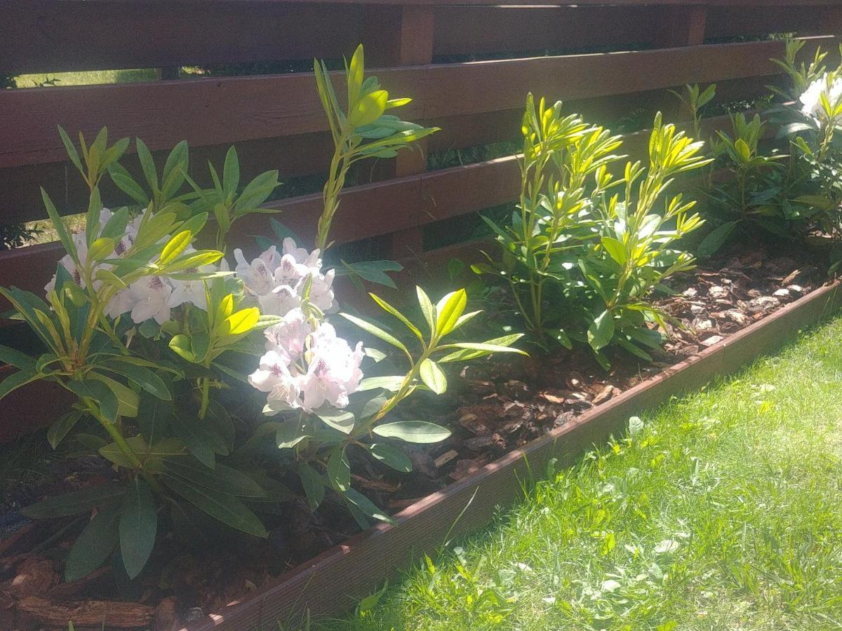 Apartament Jantar Z Ogrodem Kolobrzeg Luaran gambar